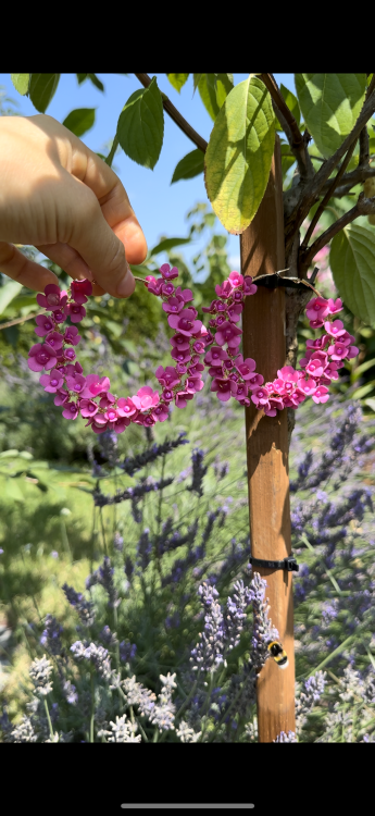 Fuchsia hoop flower earrings (1).png