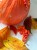 E76BD4FB-2091-4A86-918D-405E1DADA561.jpeg