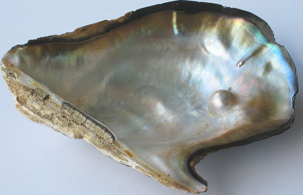 Masa perłowa